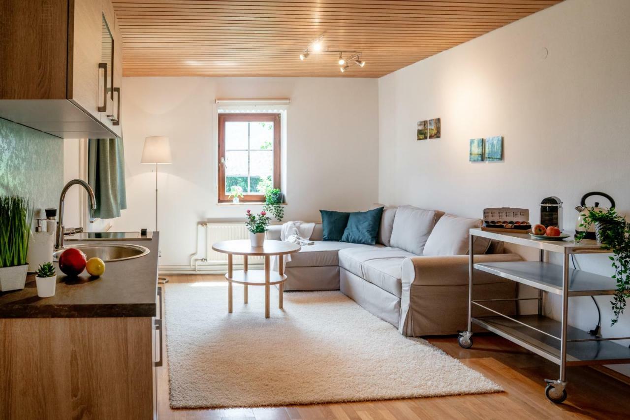 Lakeview Apartment Hallstatt Kültér fotó